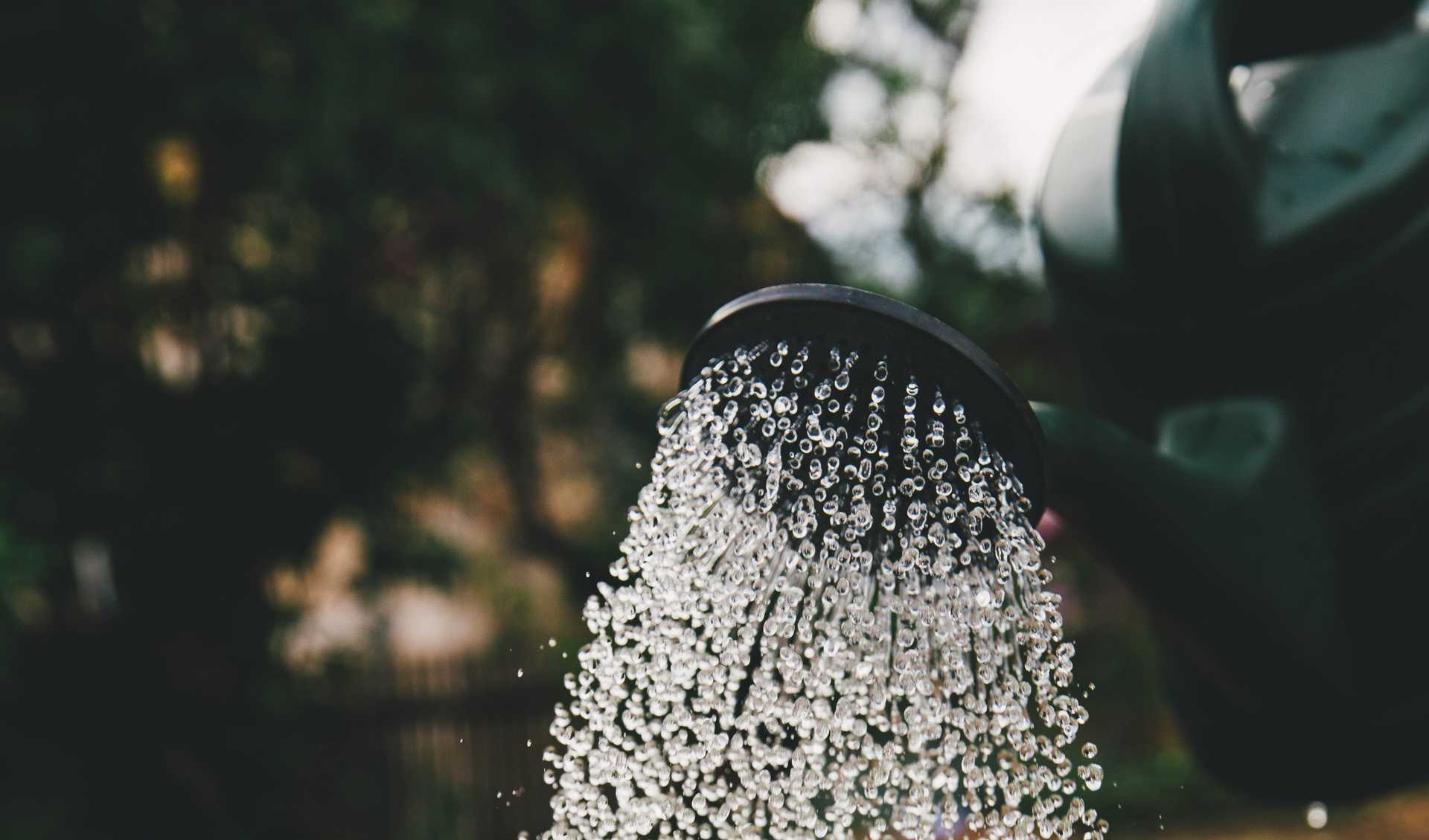 How to read soil moisture with an ESP8266 - Featured image