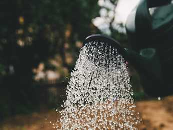 How to read soil moisture with an ESP8266 - Featured image